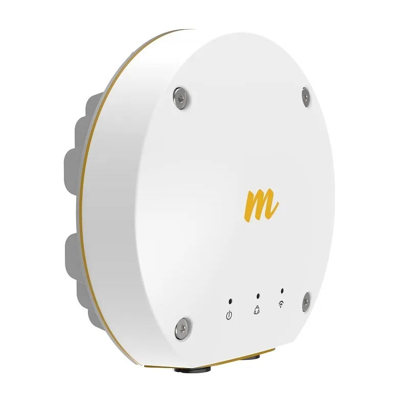 mimosa_b11_01.webp