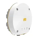 mimosa_b11_01.webp